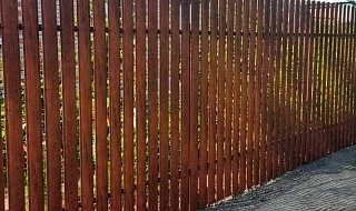 �����: ����� �� �������������� �������������� ������������� ��� ������