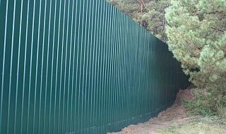 �����: ����� �� ��������� 2,2 � �20 �������