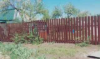 �����: ����� �� �������������� ������������� ��� ���� � ���������� ��� ����